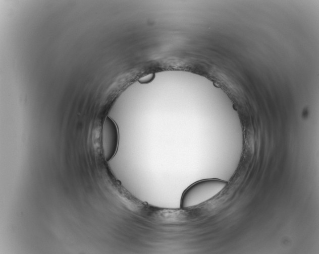 X0000092050526200709121027
