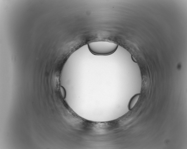 X0000092050527200709121027