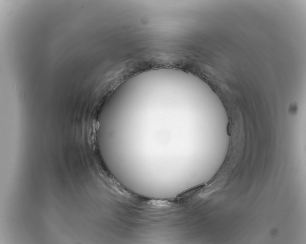 X0000092050528200709121027