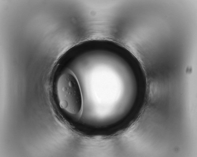 X0000092050530200709121027