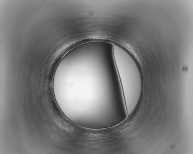 X0000092050531200709121027