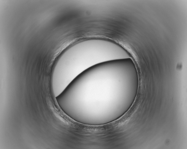 X0000092050533200709121027