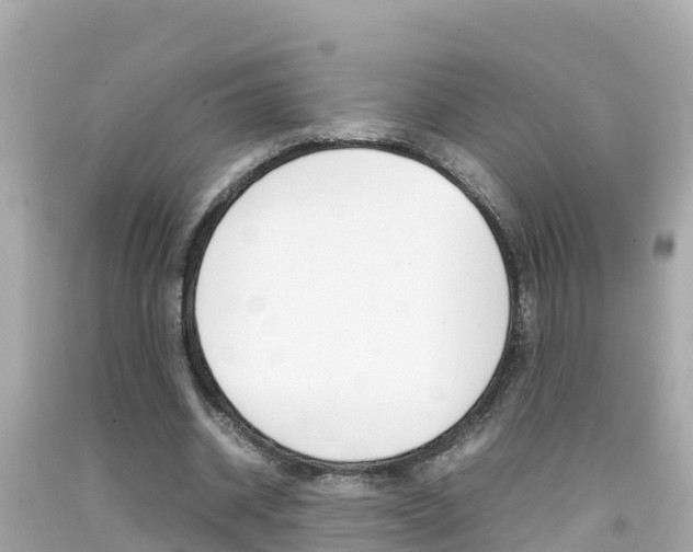 X0000092050534200709121027