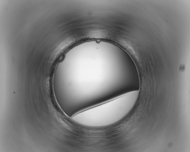X0000092050535200709121027