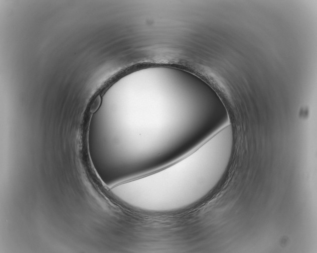 X0000092050536200709121027