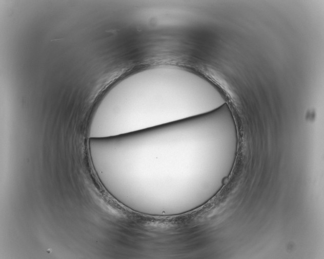 X0000092050537200709121027