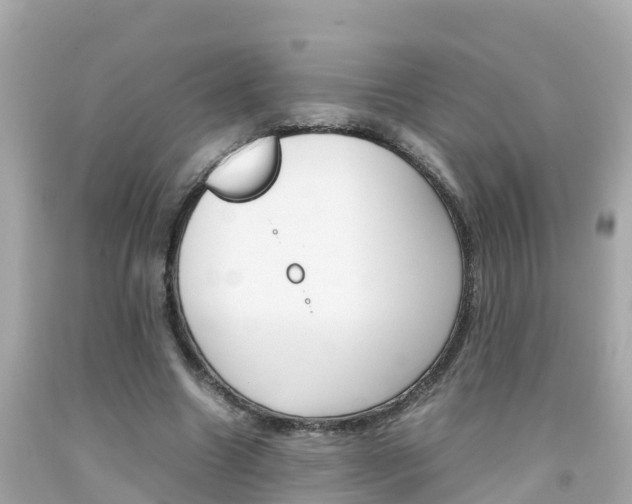 X0000092050538200709121027