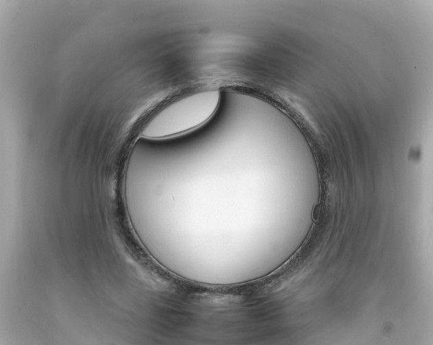X0000092050539200709121027