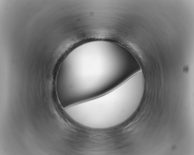 X0000092050540200709121027