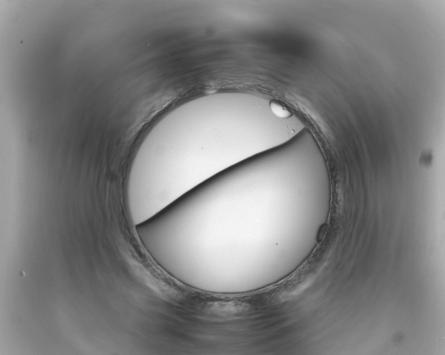 X0000092050541200709121027