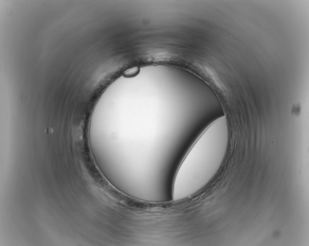 X0000092050543200709121027