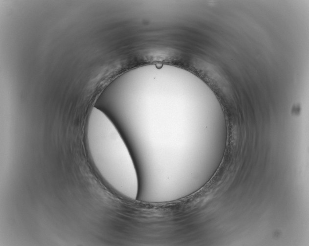 X0000092050545200709121027