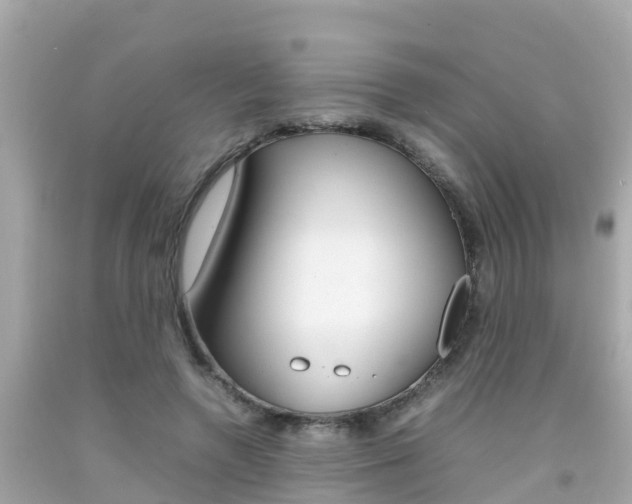 X0000092050546200709121027