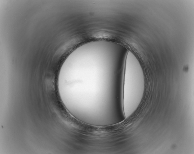 X0000092050547200709121027