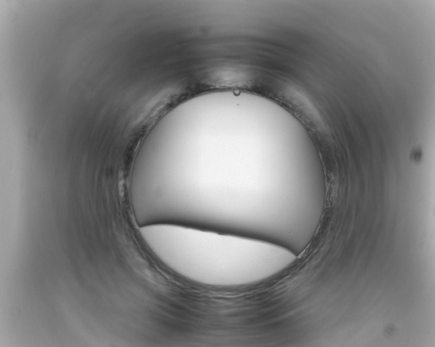 X0000092050549200709121027