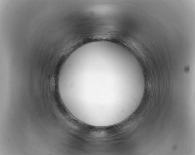 X0000092050551200709121027