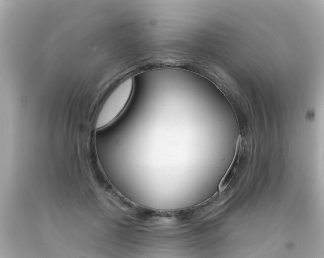 X0000092050552200709121027