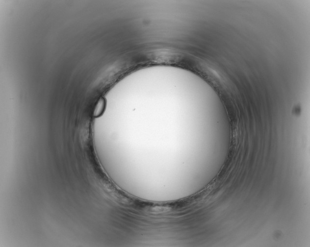 X0000092050554200709121027