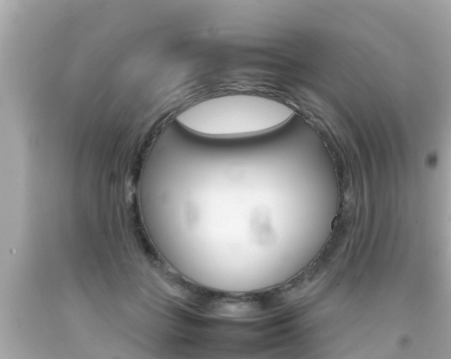 X0000092050555200709121027