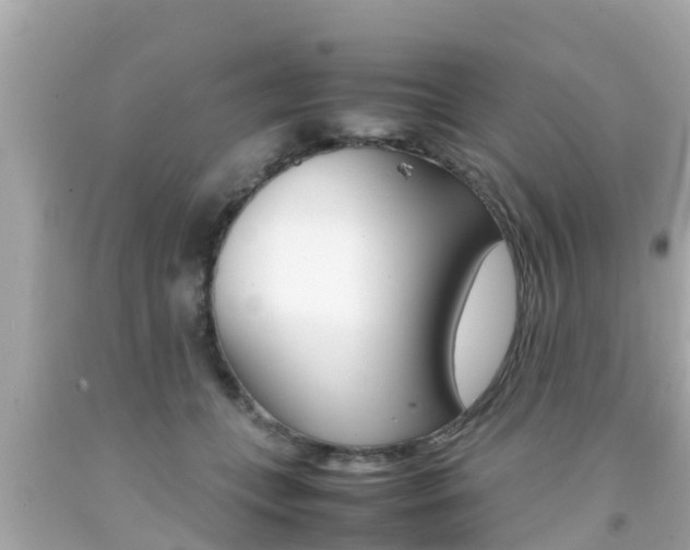 X0000092050559200709121027