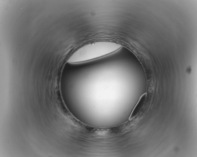 X0000092050560200709121027