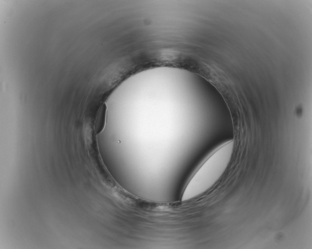 X0000092050562200709121027