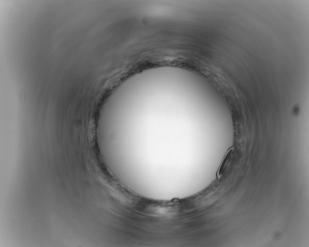 X0000092050563200709121027