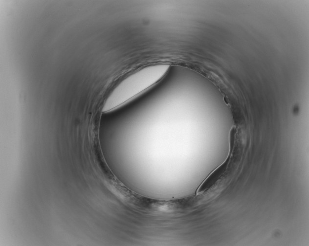 X0000092050564200709121027