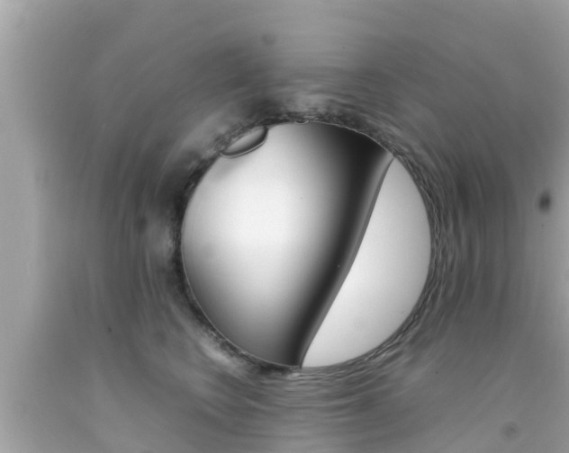 X0000092050566200709121027