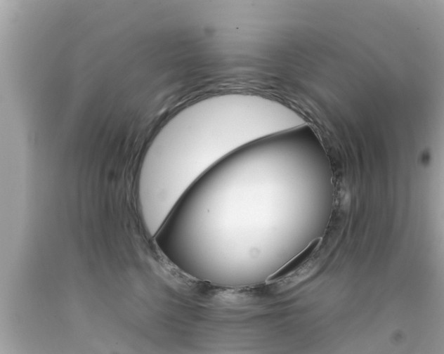 X0000092050568200709121027