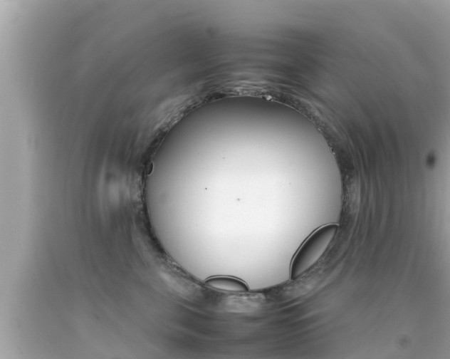 X0000092050571200709121027