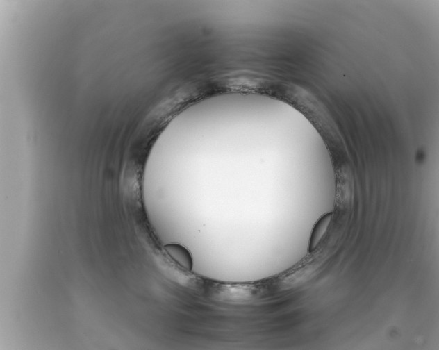 X0000092050573200709121027