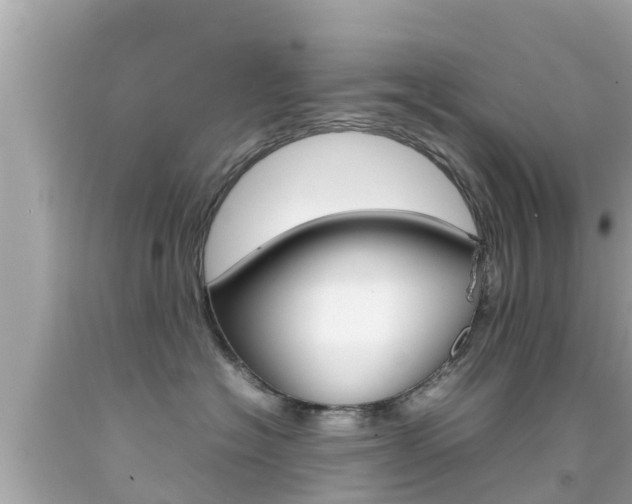 X0000092050574200709121027