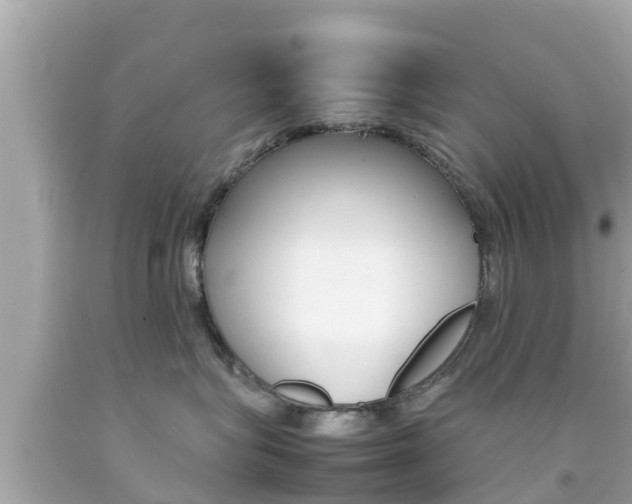 X0000092050575200709121027