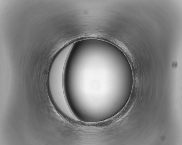 X0000092050577200709121027
