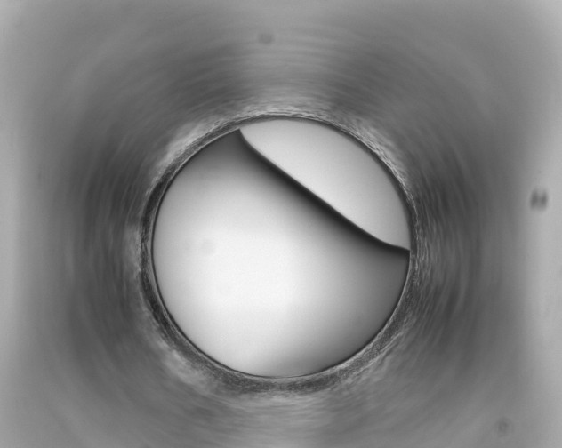 X0000092050578200709121027