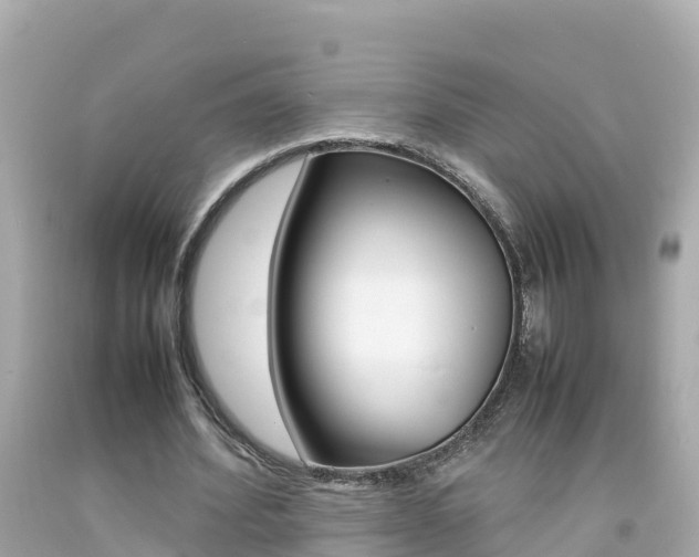 X0000092050580200709121027