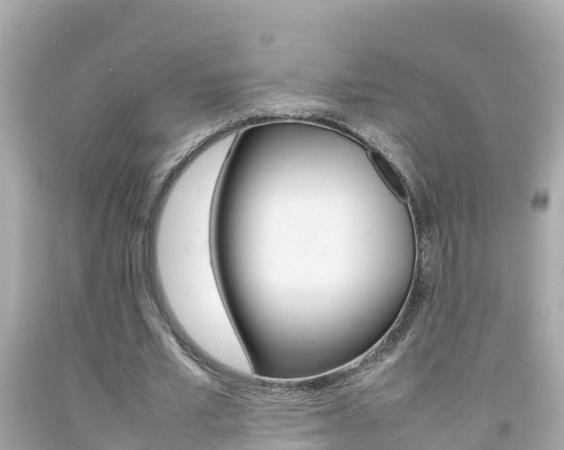 X0000092050581200709121027