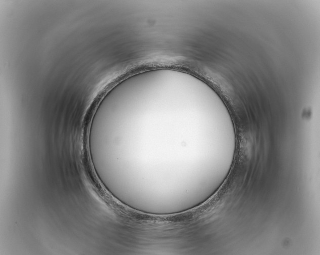 X0000092050582200709121027