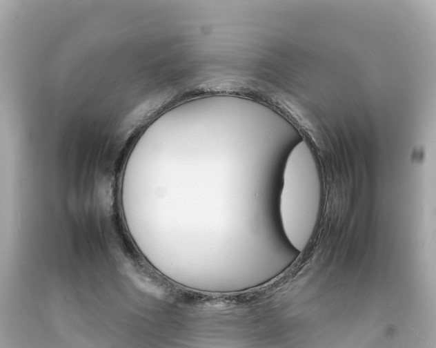 X0000092050586200709121027