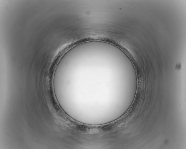 X0000092050587200709121027