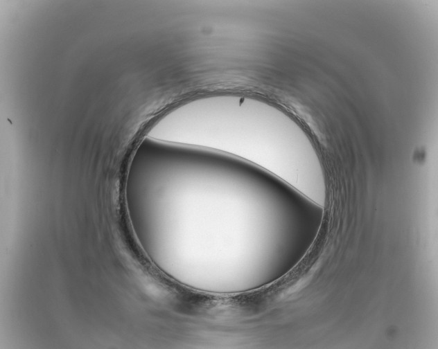 X0000092050589200709121026