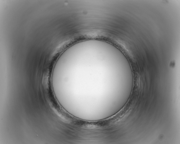 X0000092050590200709121026