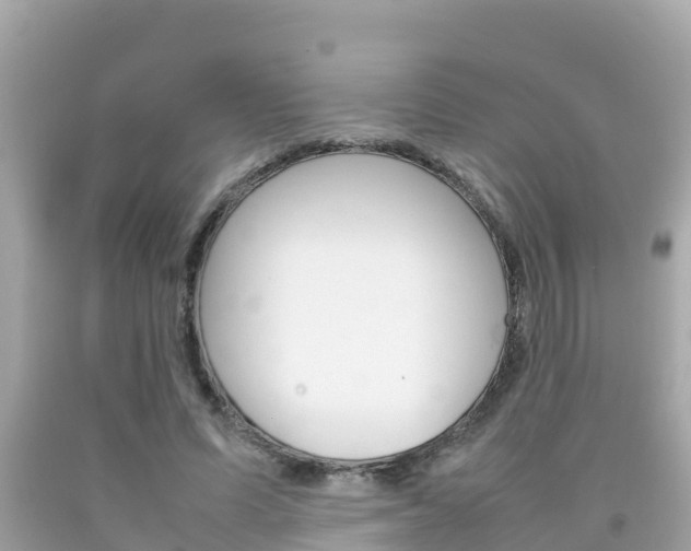 X0000092050591200709121026