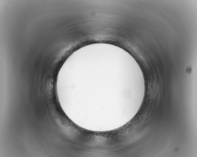 X0000092050592200709121026