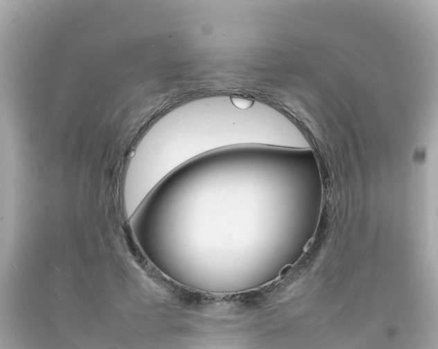 X0000092050593200709121026