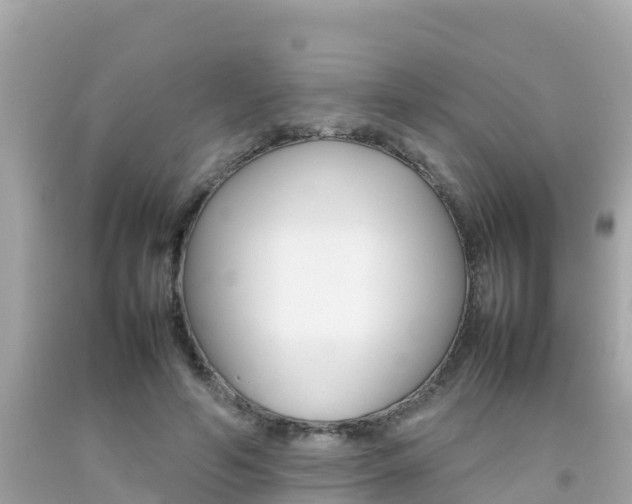 X0000092050594200709121026