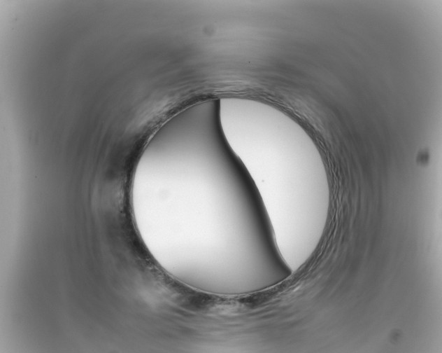 X0000092050595200709121026