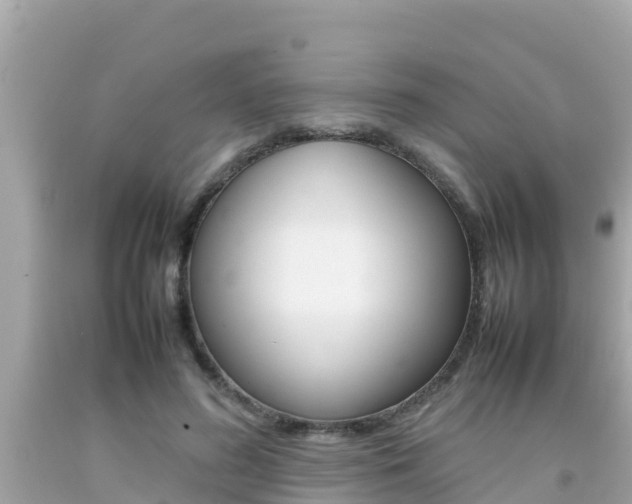 X0000092050596200709121026