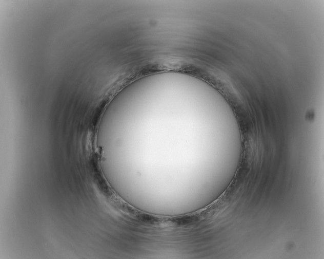 X0000092050598200709121026
